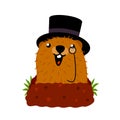 Groundhog Day. Cute marmot in hat wake up in hole. Cute character