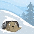 Groundhog Day Royalty Free Stock Photo