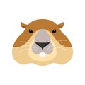 Groundhog face. Woodchuck head. Marmot. Vector illustration