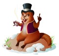 Groundhog forecaster climbed out of hole, sitting and drinking coffee. Groundhog Day Royalty Free Stock Photo