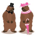 A groundhog in a gentleman's suit with his lady. A pair of groundhogs for the Groundhog Day holiday. A groundhog man Royalty Free Stock Photo