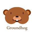 Groundhog Head Icon