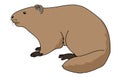 Groundhog illustration vector.Cartoon groundhog