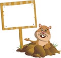 Groundhog Popping Out of its Burrow Sign Board