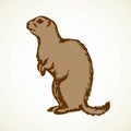 Groundhog. Vector illustration