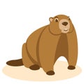 Groundhog vector illustration flat style front view Royalty Free Stock Photo