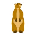Groundhog vector illustration flat style front Royalty Free Stock Photo