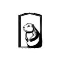 Groundhog windows Icon hand draw black colour groundhog day logo symbol perfect