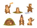 Groundhogs. Wild funny animal symbols of groundhog day time loop characters exact vector flat illustrations in cartoon