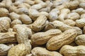 Groundnut