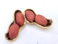 Groundnut image