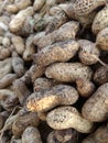 Groundnuts Royalty Free Stock Photo