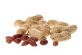 Groundnuts Isolated Royalty Free Stock Photo