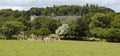 Fallow Deer herd at Bovey Castle