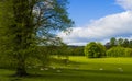 Grounds of Chawton House Library,Hampshire Royalty Free Stock Photo