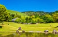 Grounds of Nara Park in Kansai Region - Japan