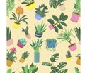 Groundwort, echeveria, spathiphyllum, aloe and haworthia, guzmania and dieffenbachia, sansevieria, houseplant - illustration,