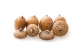 Group of acorns on the white background