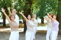 Group of active, elderly people, man and women training outdoors in park, doing warm-up exercises Royalty Free Stock Photo