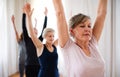 Group of senior people doing yoga exercise in community center club. Royalty Free Stock Photo