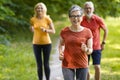 Group of active senior people running together outdoors in park Royalty Free Stock Photo