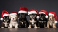 Group of adorable G puppies wearing Christmas costumes Royalty Free Stock Photo