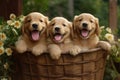 Group of Adorable Golden Retriever Puppies Sitting in a Basket, Generative AI