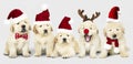 Group of adorable Golden Retriever puppies wearing Christmas costumes
