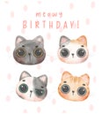 Group of adorable kitten cats head in different breeds Meowy birthday watercolor illustration greeting card Royalty Free Stock Photo