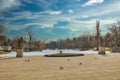 Group of adorable pigeons wandering in Lazienki Krolewskie Park in Warsaw, Poland