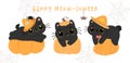 group of adorable playful black cats on pumpkins, happy Halloween humorous cartoon banner