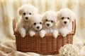 Group of Cute White Poodle Puppies Sitting in a Basket, Generative AI Royalty Free Stock Photo