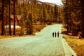 A group adult walking on a road in the woods on asphalt road