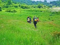 Group of hikers enjoying the green meadow