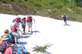 Group of adventurous hikers taking a walk in the snowy paths of the Glacier National Park, Montana