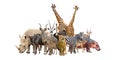 Group of africa animals Royalty Free Stock Photo