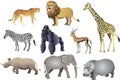 Group Of African Animal Wild Life , Cheetah, Lion, Giraffe, Zebra, Gorilla, Antelope, Rhino, Elephant, Hippopotamus - Vector Illus Royalty Free Stock Photo