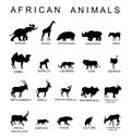 Group of African animals collection vector silhouette illustration isolated on white background. Big animals set poster. Elephant. Royalty Free Stock Photo