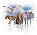 Group of african animals on white background. Their shadow is reflected on the ground. Behind them is the blue sky. It is a Royalty Free Stock Photo