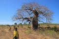 A group of African children playing near a large baobab