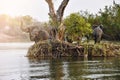 Group of elephants at river bank Royalty Free Stock Photo