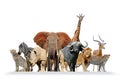 Group of African safari animals together