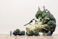 Group of agricultural workers on broccoli. Figurines