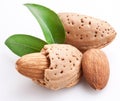 Group of almond nuts. Royalty Free Stock Photo
