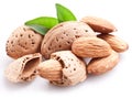 Group of almond nuts. Royalty Free Stock Photo