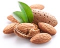 Group of almond nuts.