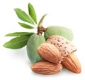 Group of almond nuts.