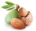 Group of almond nuts. Royalty Free Stock Photo