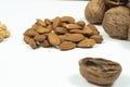 Group of almonds with some walnuts on white background blurry nutshell selective focus dry fruits Royalty Free Stock Photo