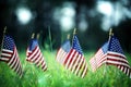 Group of American flags in green grass Royalty Free Stock Photo